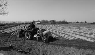 　　3月14日，灵台县西屯镇南头村村民正在整地、覆膜。
　　灵台县按照“提前谋划、科学布局、示范推进”的思路，组织干部群众抢抓墒情，稳步推进春季农田顶凌覆膜，预计3月底前将完成24万亩顶凌覆膜任务，为全年种植业生产开好局、起好步。
　　
　　本报记者 曹远红 摄