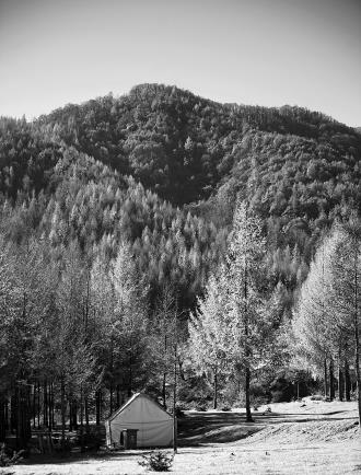 　　地椒子
<span class=