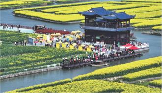 　　3月24日，游客在江苏省兴化市千垛景区赏花游玩（无人机照片）。
　　随着气温回升，江苏省兴化市千垛景区的油菜花陆续开放。金黄色的油菜花与纵横交错的河道交相辉映，构成“河有万湾多碧水，田无一垛不黄花”的春日画卷，吸引了不少游客前来赏花，尽享美好春光。  新华社发 孟德龙 摄