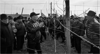 　　12月23日，泾川县60多名“田秀才”“土专家”在峪头村矮化密植示范园参加“亮剪行动”暨冬季果园管理技能大赛，在田间地头展开了一场果树修剪技艺大比拼。图为果业专家讲解修剪要领。      本报记者 谢正民 摄