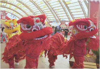 　　2月11日，舞狮队在村糖会现场表演。
　　2月11日，以“逛村糖会·品新津味”为主题的春节村糖会在四川省成都市新津区天府农博园开幕迎客。非遗展示、民俗表演、年货展销同步上线，传统技艺与新春氛围交融。
　　
　　新华社记者
　　刘坤 摄