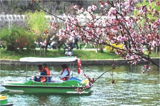 　　3月21日，游客在江苏苏州上方山国家森林公园游玩。
　　春暖花开、万物复苏，正是踏青赏景好时节。人们走出家门，乐享春日时光。
　　
 新华社发
 （杨素平 摄）