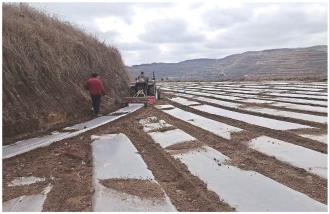 　　连日来，庄浪县岳堡镇全面掀起春耕生产热潮，全镇上下抢抓时机耕地覆膜，为全年粮食增收筑牢根基。      本报记者 高国霞 摄