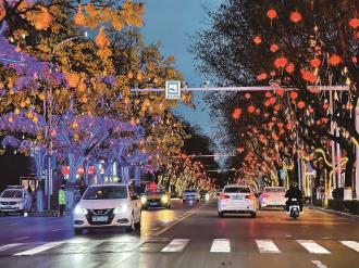 　　1月18日，车辆从西大街挂满红灯笼的行道树下驶过。随着春节的临近，平凉街头巷尾的节日气氛越来越浓。             本报记者 杨昕 摄