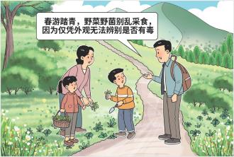 　　预防野菜野菌中毒          新华社发 朱慧卿 作